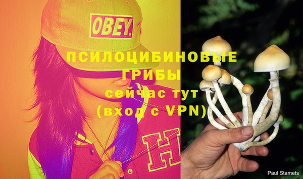 амфетамин Аркадак