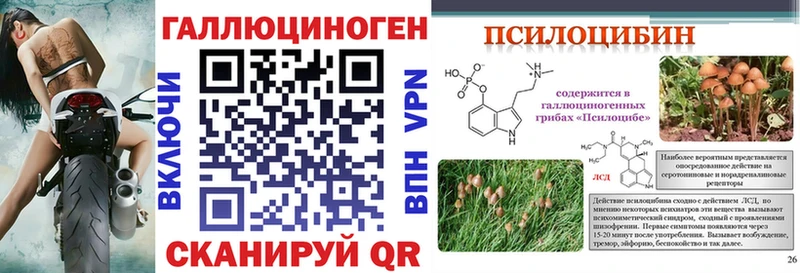 цена   Унеча  Псилоцибиновые грибы прущие грибы 